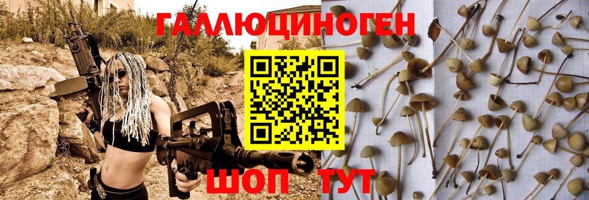 Галлюциногенные грибы мицелий Рубцовск