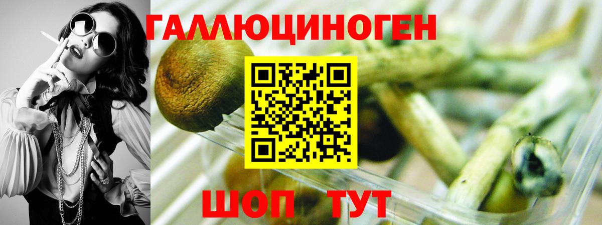 сколько стоит  Псилоцибиновые грибы мухоморы  Рубцовск  Вход с VPN  Псилоцибиновые грибы мицелий 